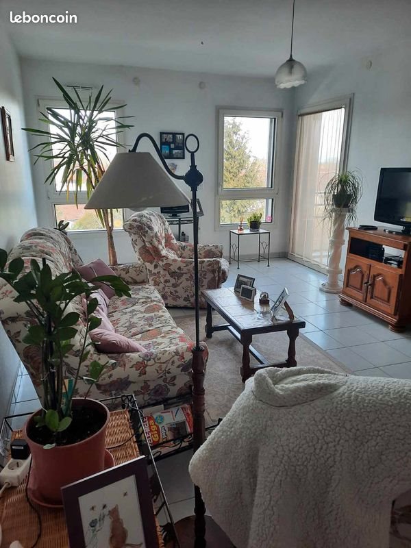 Appartement à louer, 53m², Montigny-lès-Metz