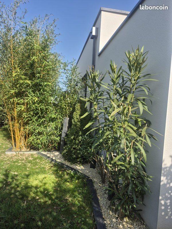 Maison à vendre, 132m², Montreuil-Juigné