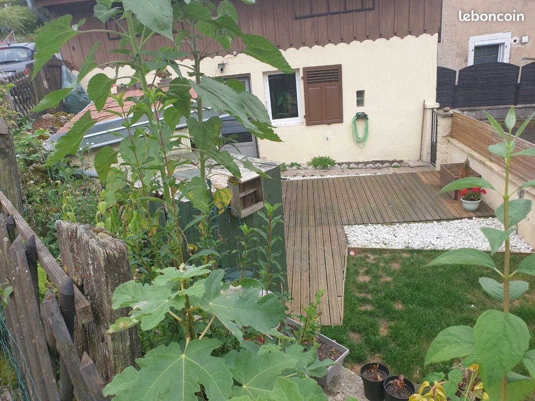 Maison à louer, 90m², Delle