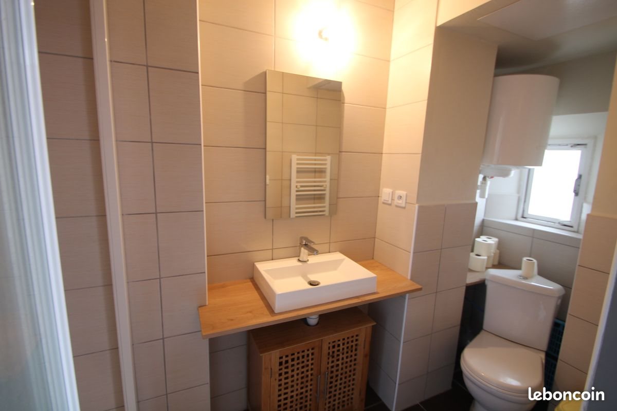 Appartement à louer, 25m², Saint-Etienne