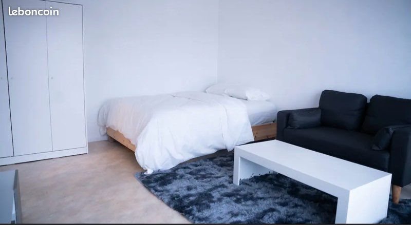 Appartement à louer, 29m², Ferney-Voltaire