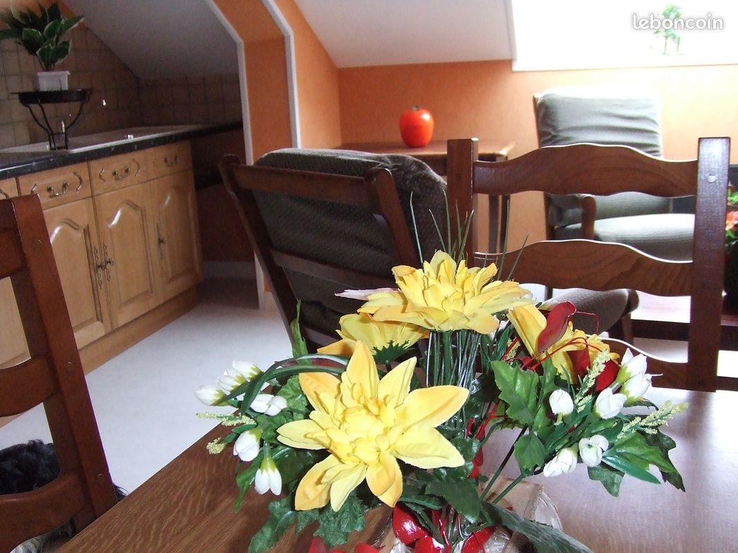 Appartement à louer, 35m², Vassy