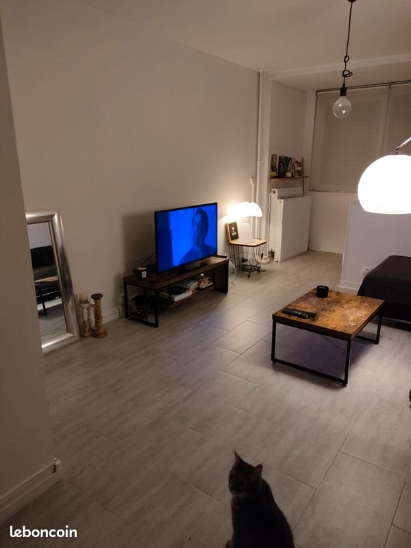 Appartement à louer, 35m², Lys-lez-Lannoy
