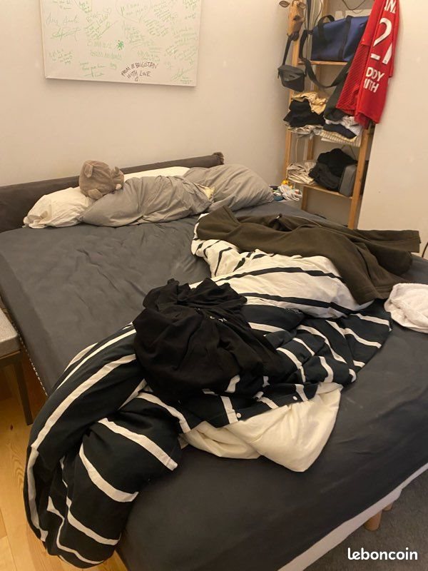 Appartement à louer, 62m², Lille