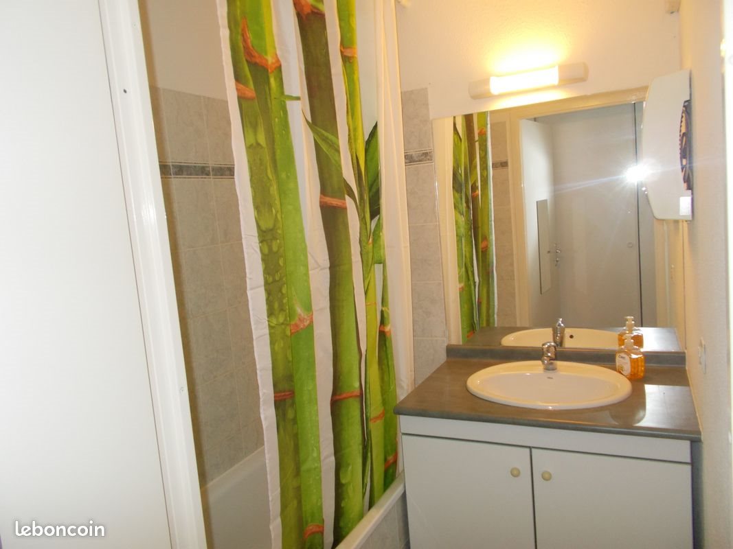 Appartement à louer, 39m², Seilh