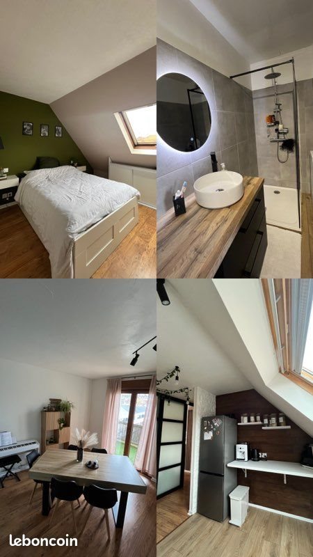 Appartement à louer, 63m², Sarrebourg