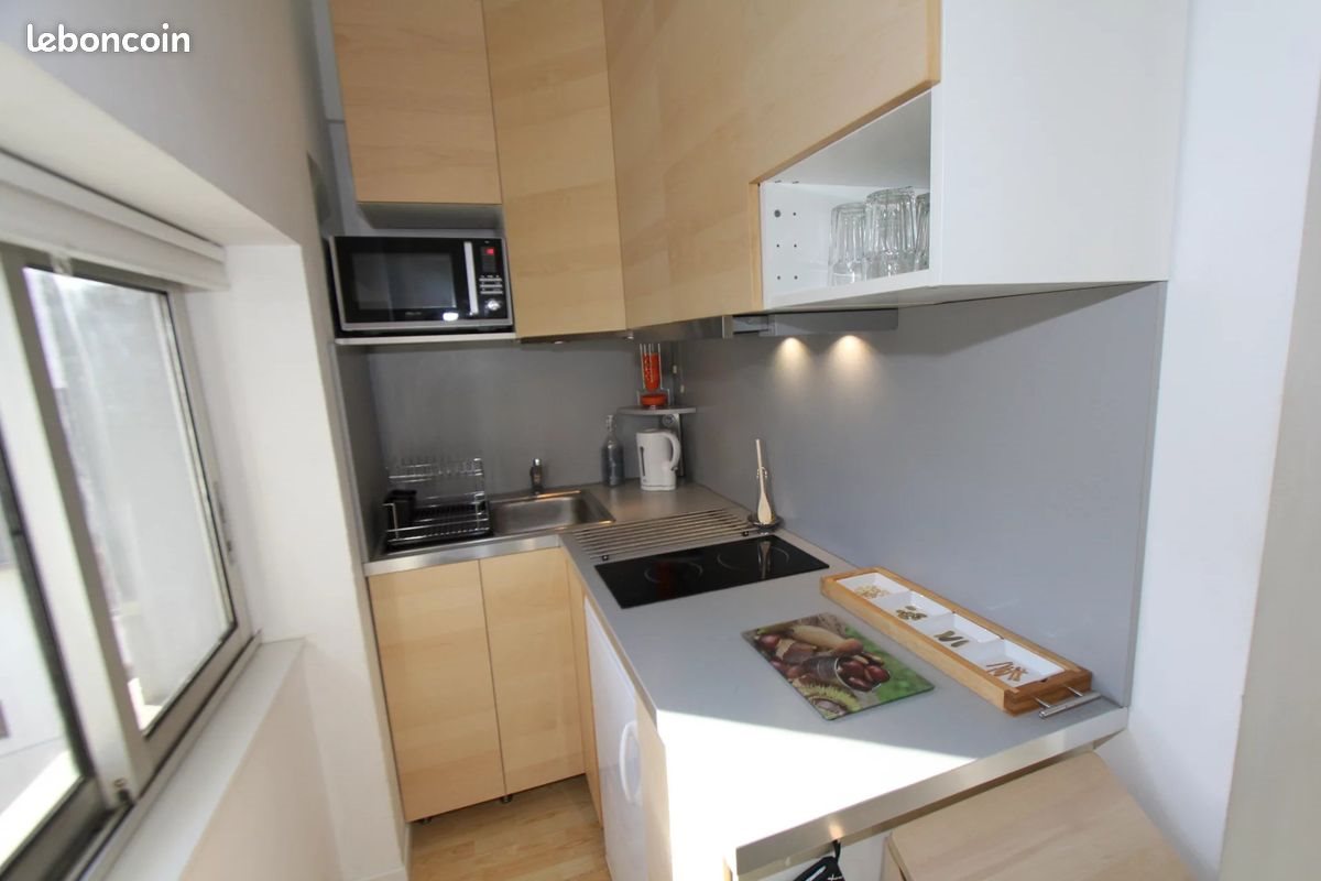 Appartement à louer, 24m², Grenoble