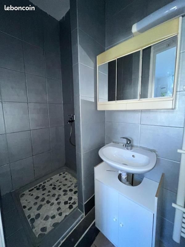 Appartement à louer, 22m², Saint-Etienne