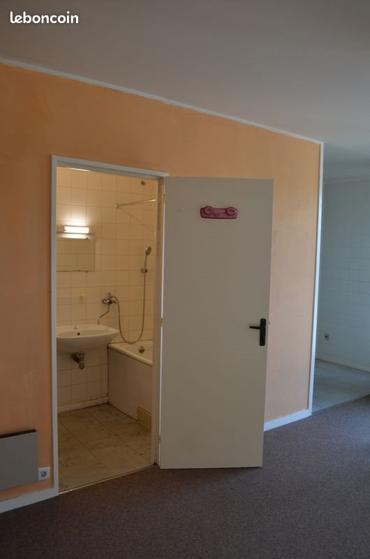 Appartement à louer, 20m², Tours