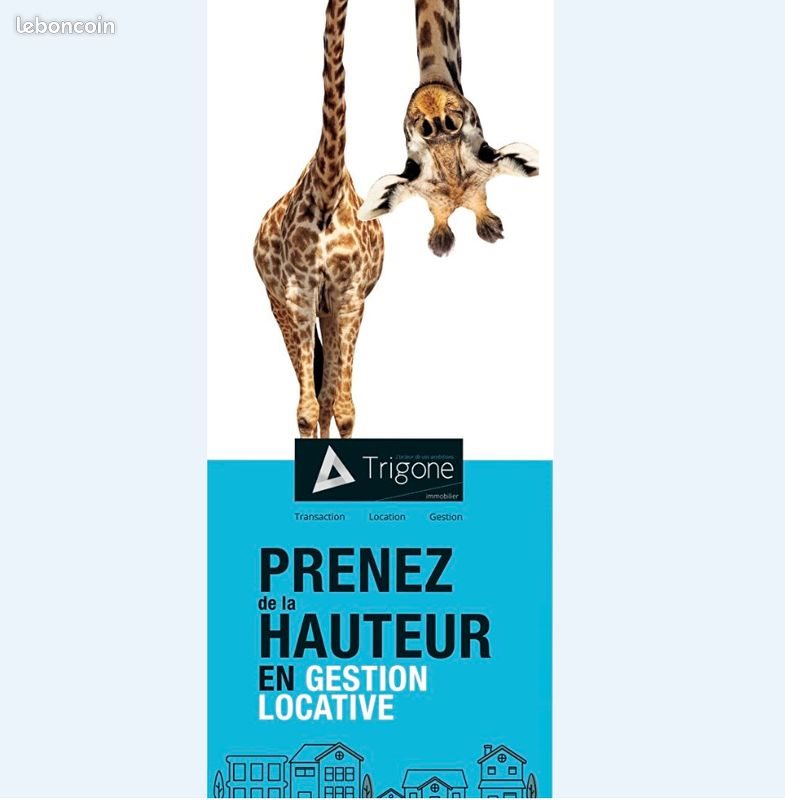 Appartement à louer, 39m², Caudry