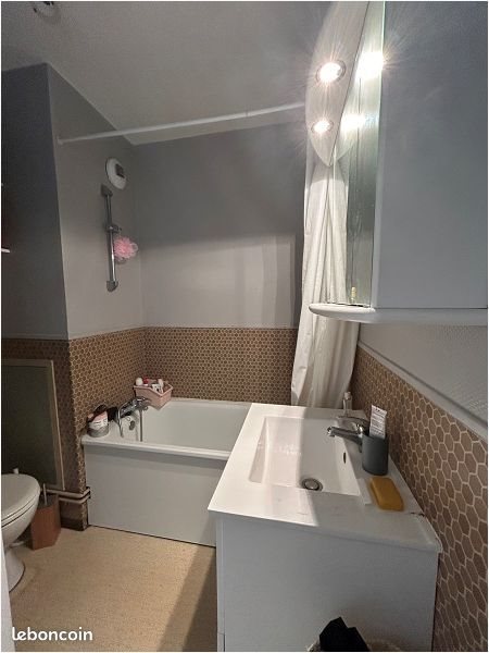 Appartement à louer, 25m², Lille
