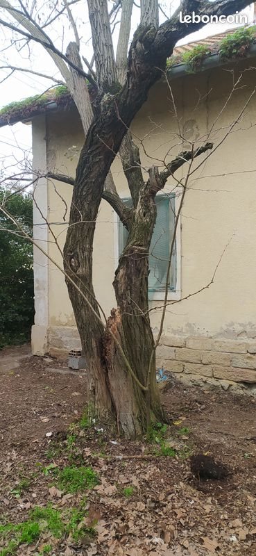 Maison à vendre, 120m², Théziers