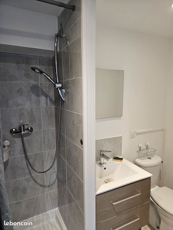 Appartement à louer, 18m², Saint-Martin-d'Hères