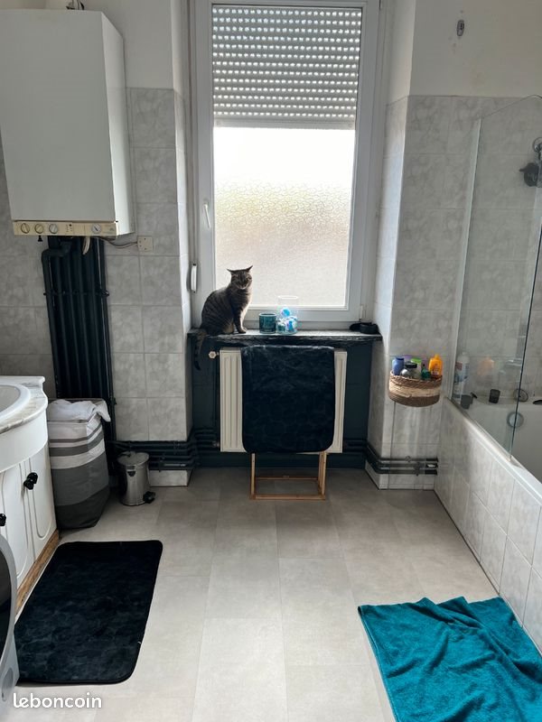 Appartement à louer, 102m², Amnéville