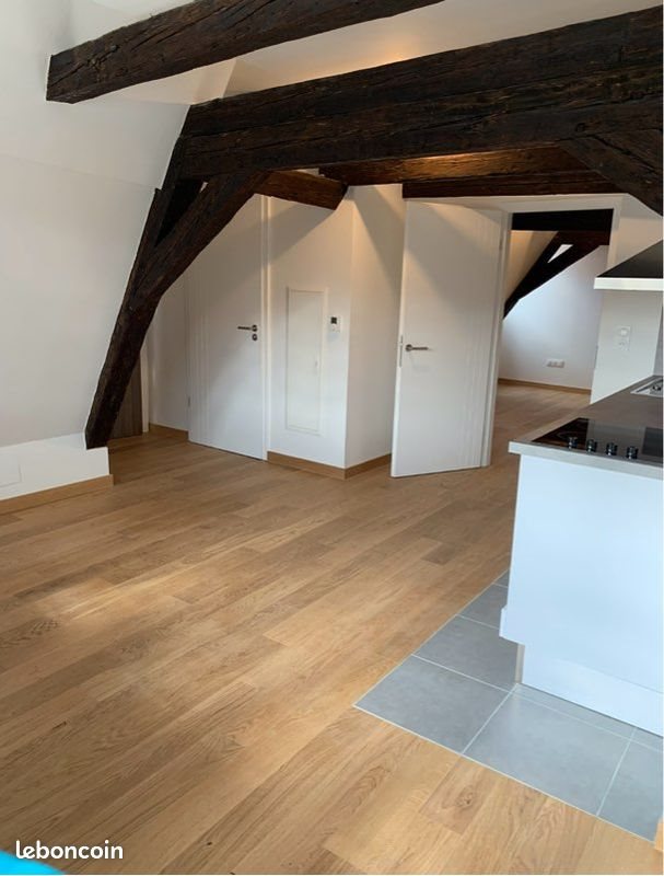 Appartement à louer, 39m², Strasbourg