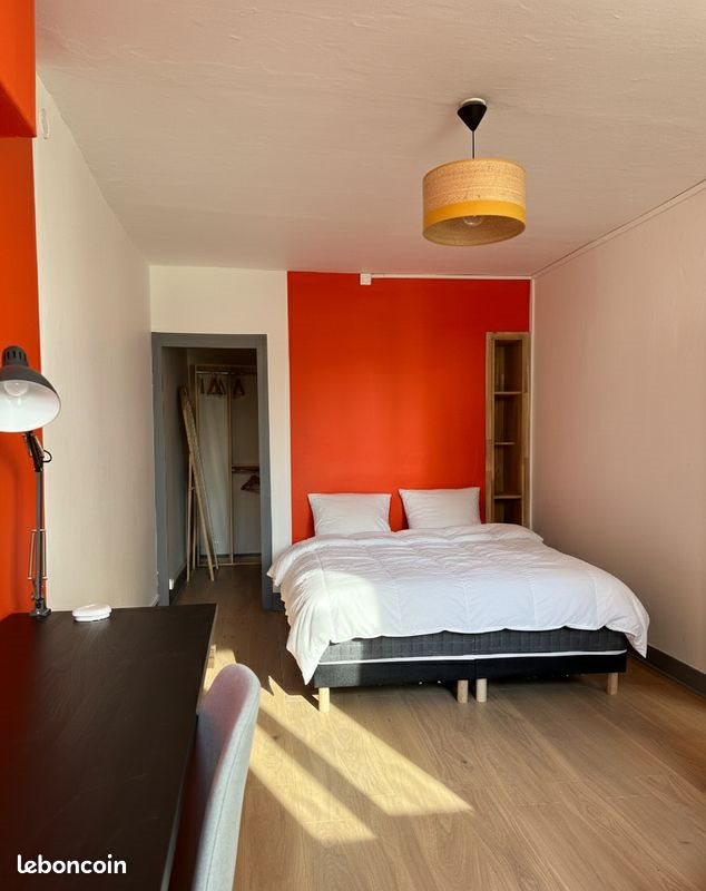 Appartement à louer, 55m², Saint-Etienne