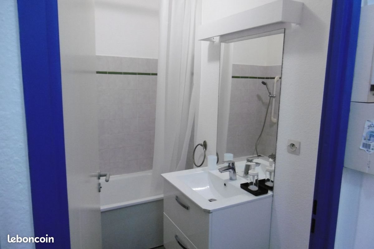 Appartement à louer, 25m², Saint-Etienne