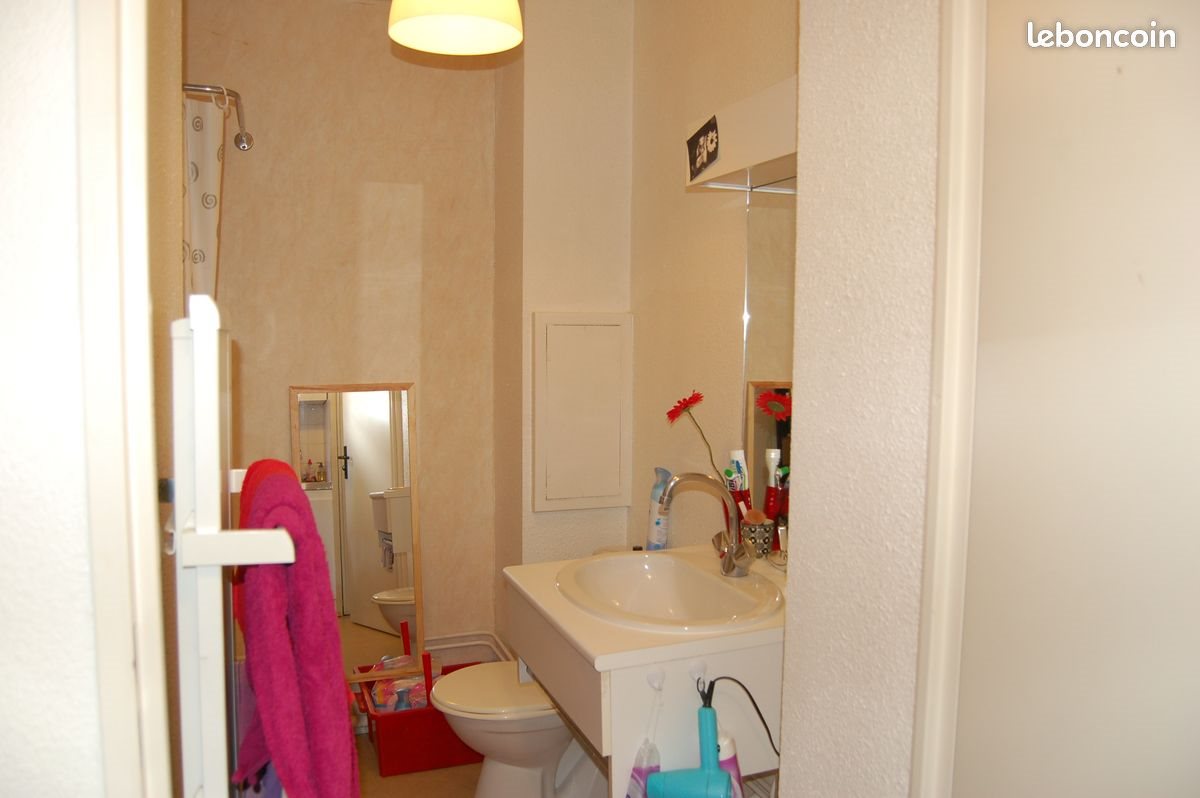 Appartement à louer, 20m², Lille