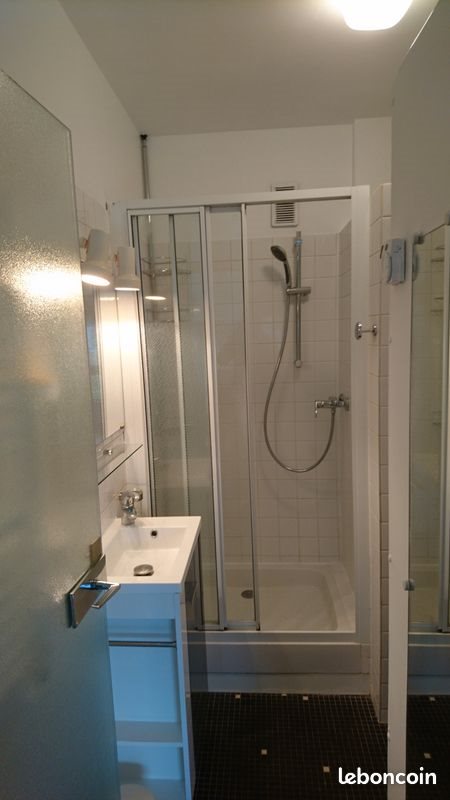 Appartement à louer, 21m², Lille