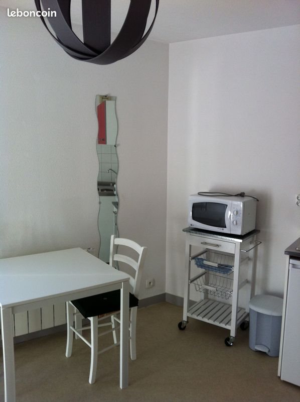 Appartement à louer, 19m², Angers