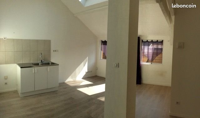 Appartement à louer, 41m², Saint-Etienne
