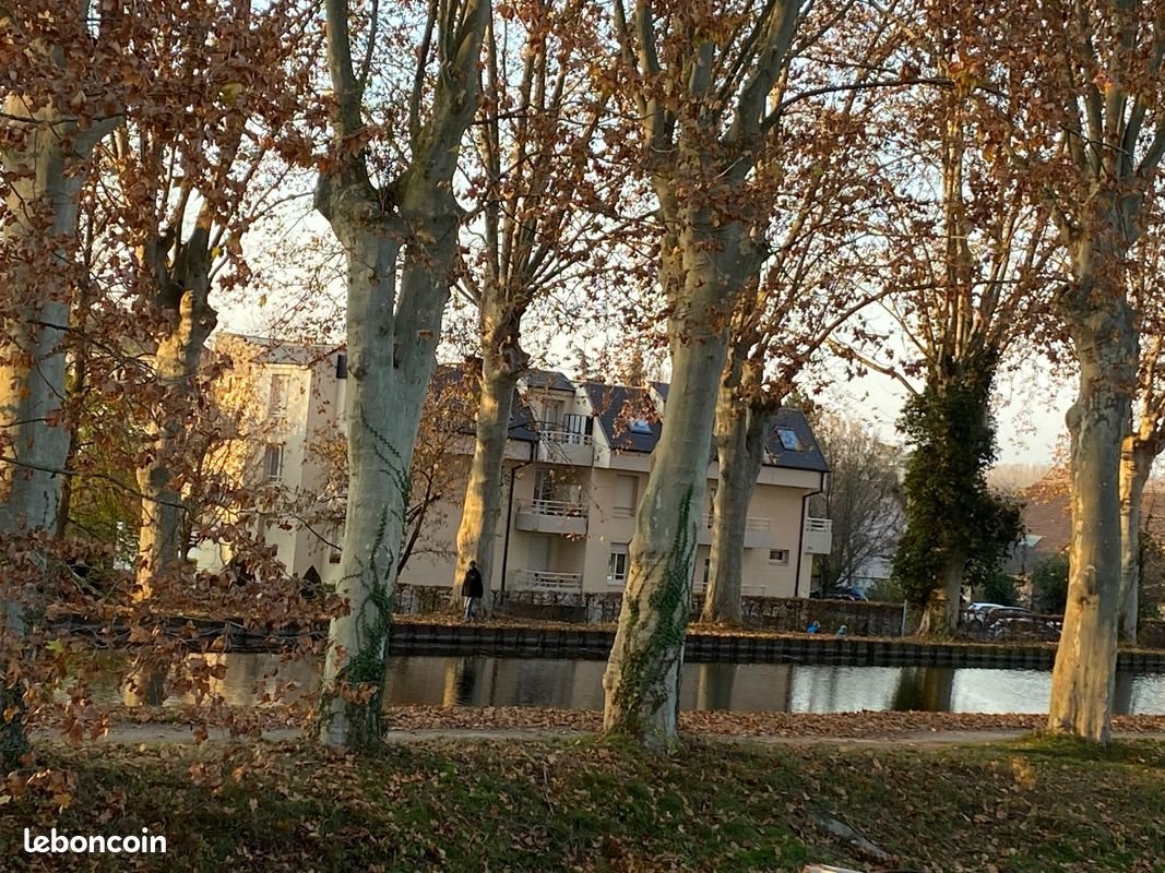 Appartement à louer, 71m², Illkirch-Graffenstaden