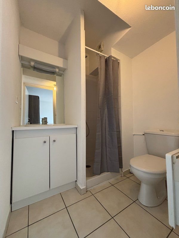 Appartement à louer, 25m², Saint-Etienne