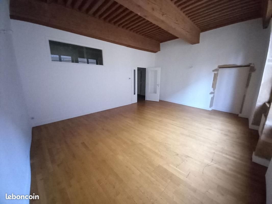 Appartement à louer, 75m², Lyon 1er