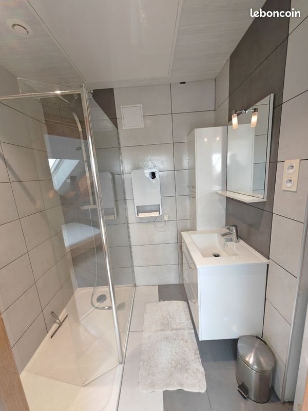 Appartement à louer, 36m², Saint-Genest-Lerpt