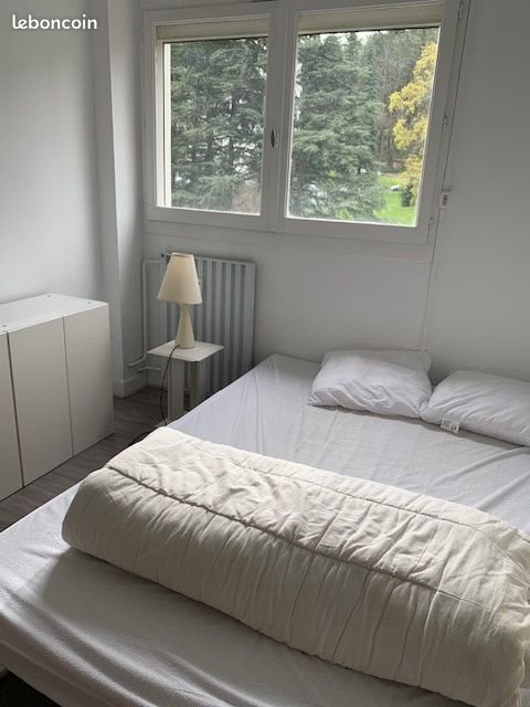 Appartement à vendre, 45m², Saint-Etienne