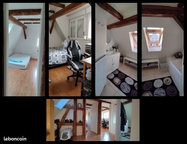 Appartement à louer, 80m², Mutzig
