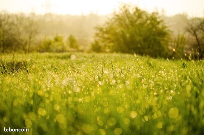 Maison à vendre, 109m², Everly