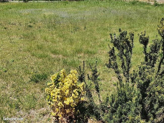 Maison à vendre, 155m², Perpignan