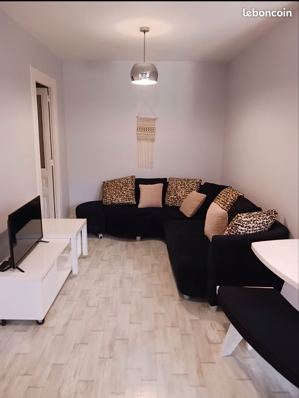 Appartement à louer, 42m², Saint-Etienne