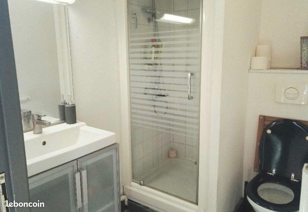 Appartement à louer, 35m², Lille