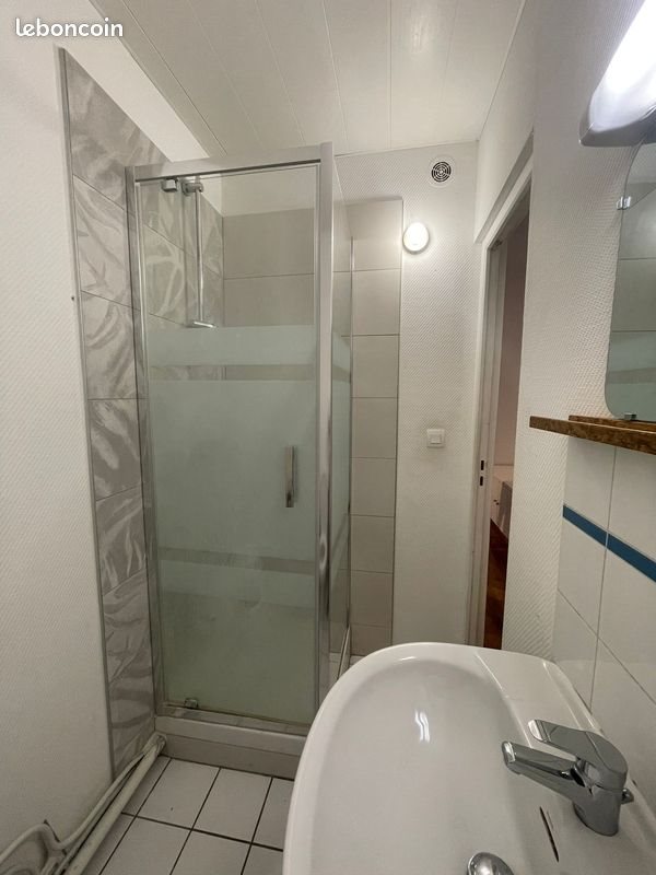 Appartement à louer, 20m², Lille