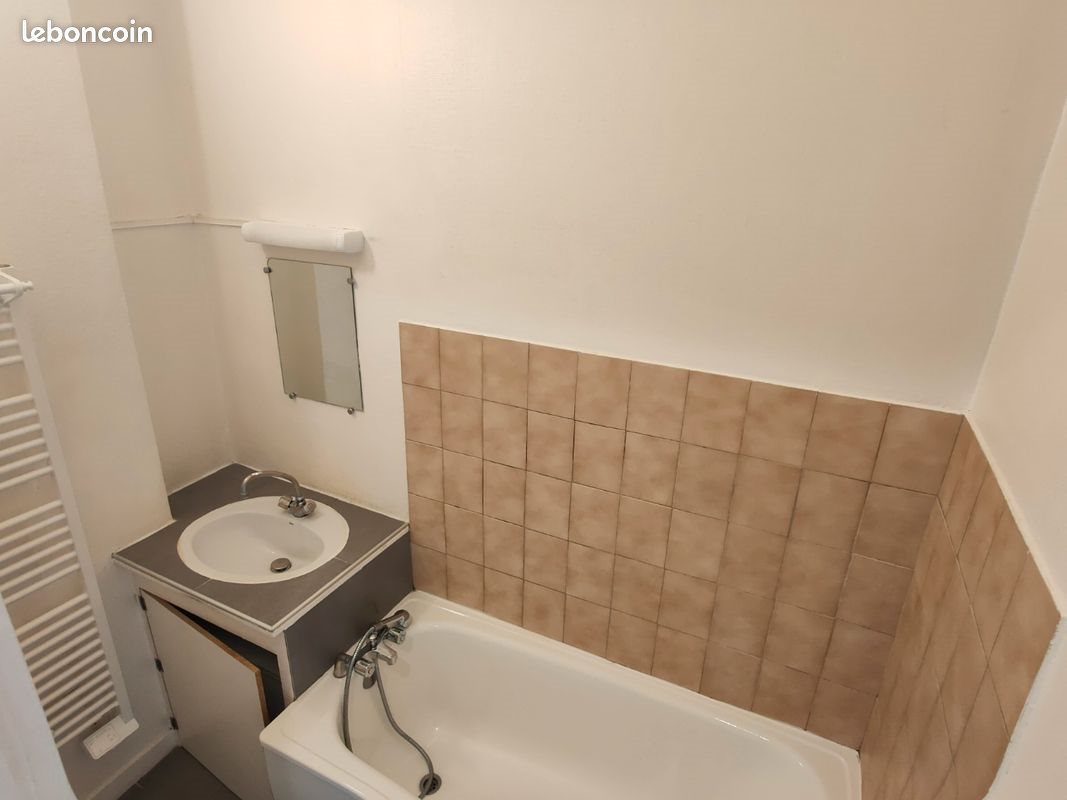 Appartement à louer, 29m², Lyon 7ème