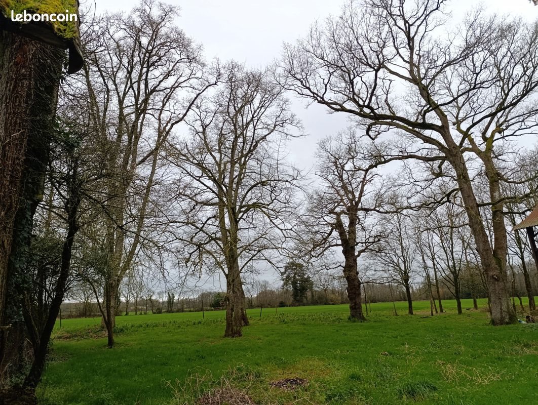 Maison à vendre, 119m², Guémené-Penfao