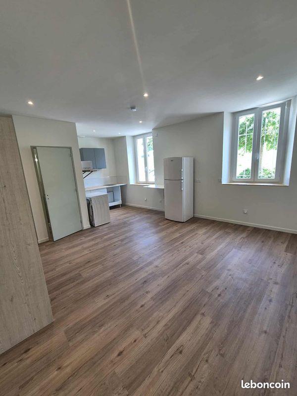 Appartement à louer, 27m², Saint-Etienne