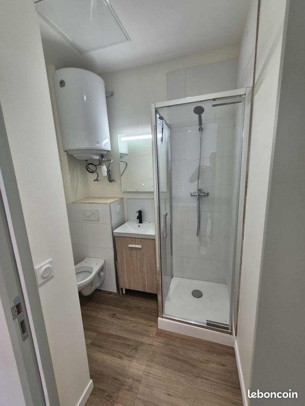 Appartement à louer, 27m², Saint-Etienne