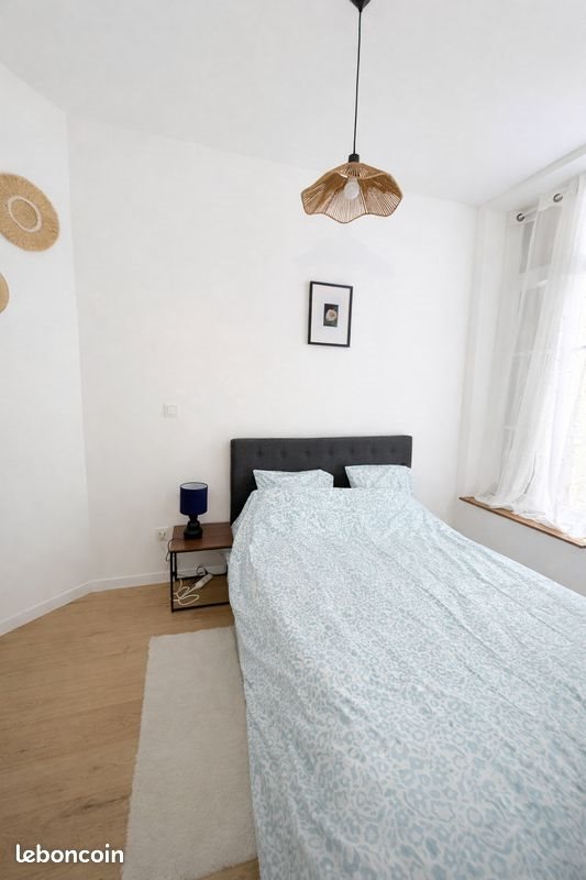 Appartement à louer, 26m², Saint-Etienne