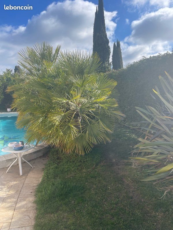 Appartement à louer, 2m², Sanary-sur-Mer