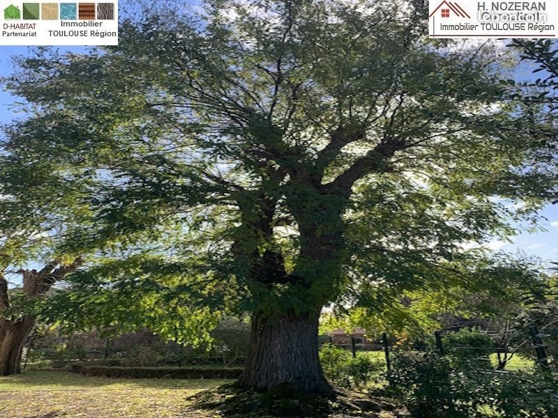 Maison à vendre, 160m², Toulouse