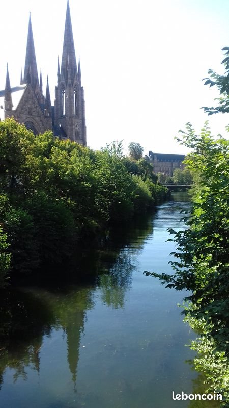 Appartement à louer, 23m², Strasbourg