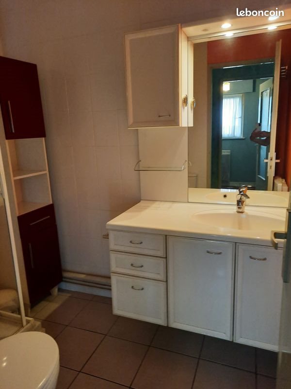 Appartement à louer, 41m², Mulhouse