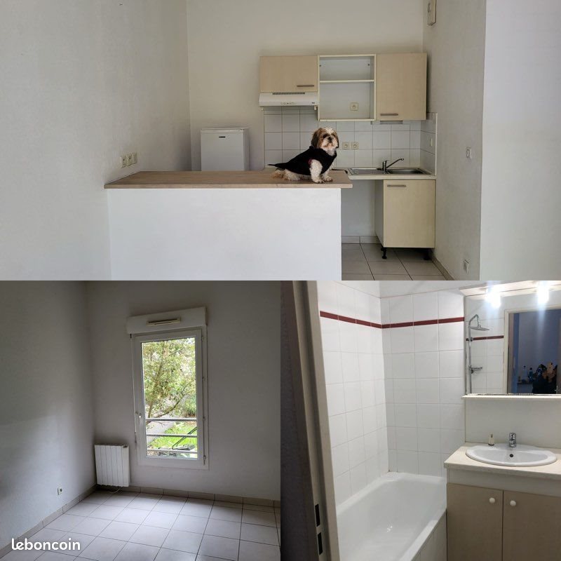 Appartement à louer, 36m², Panazol