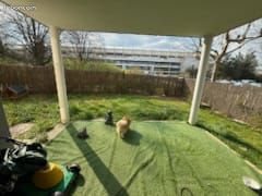 Appartement à louer, 60m², Dijon