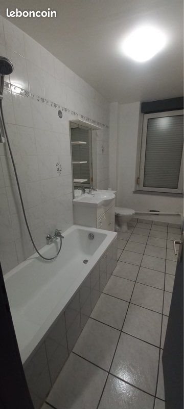 Appartement à louer, 50m², Hayange