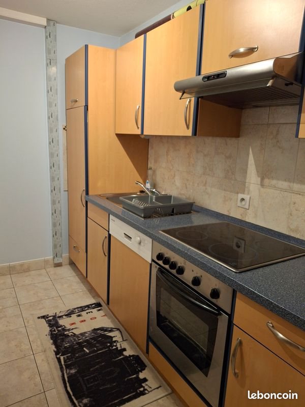 Appartement à louer, 50m², Fegersheim