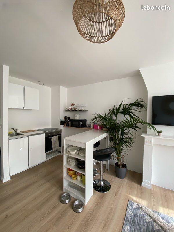 Appartement à louer, 47m², Lille